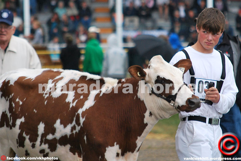 Maradora Horner and Denise Desjardins