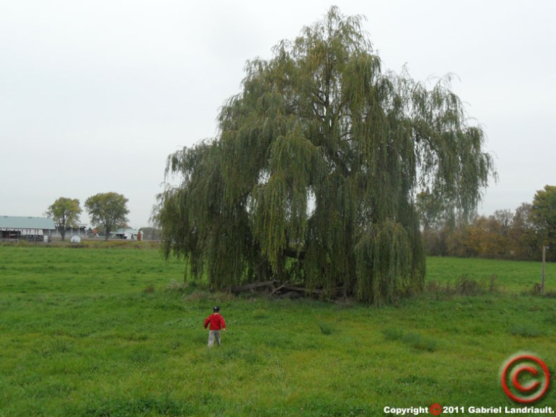 Captain Andrew in Vankleek Hill