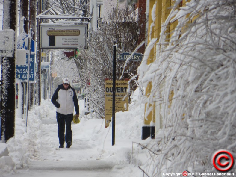 Vankleek Hill snowscape